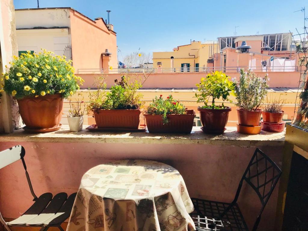 Green Guesthouse روما المظهر الخارجي الصورة