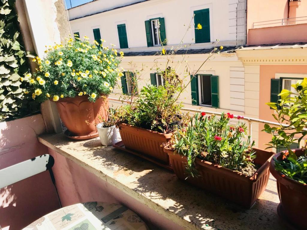 Green Guesthouse روما المظهر الخارجي الصورة
