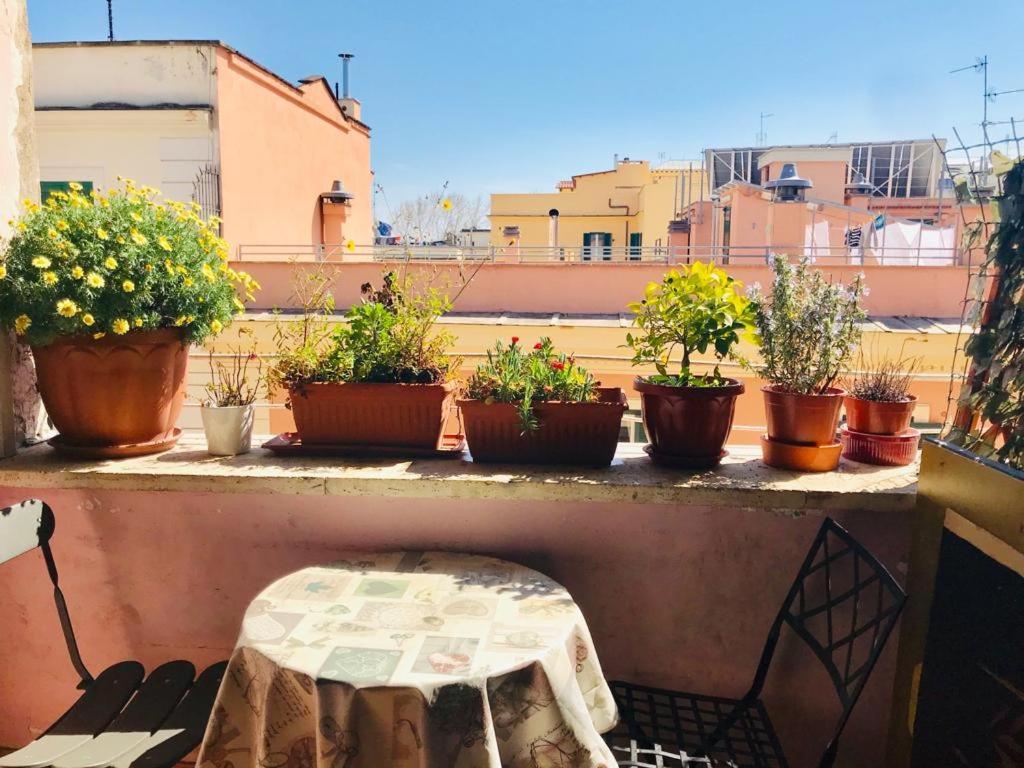 Green Guesthouse روما المظهر الخارجي الصورة