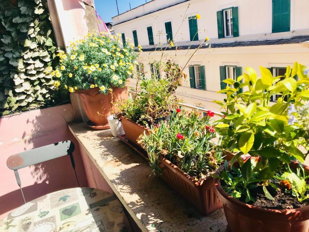 Green Guesthouse روما المظهر الخارجي الصورة