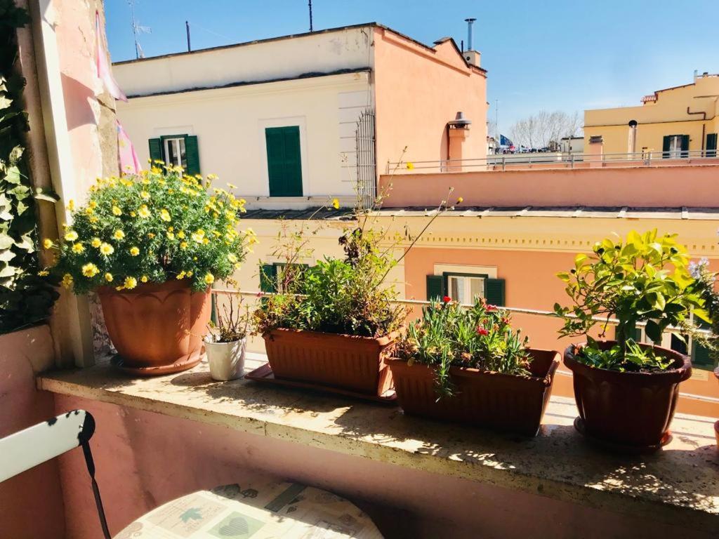 Green Guesthouse روما المظهر الخارجي الصورة
