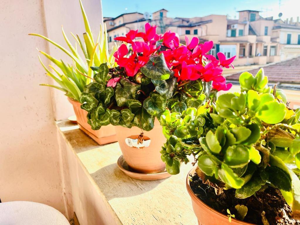 Green Guesthouse روما المظهر الخارجي الصورة