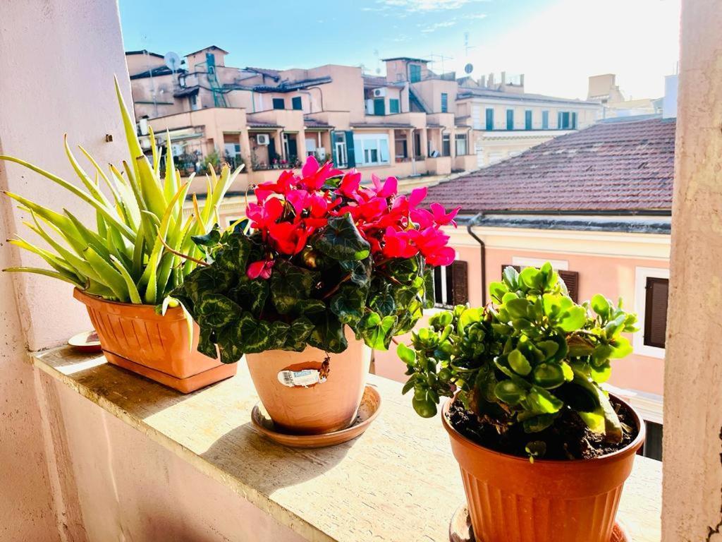 Green Guesthouse روما المظهر الخارجي الصورة