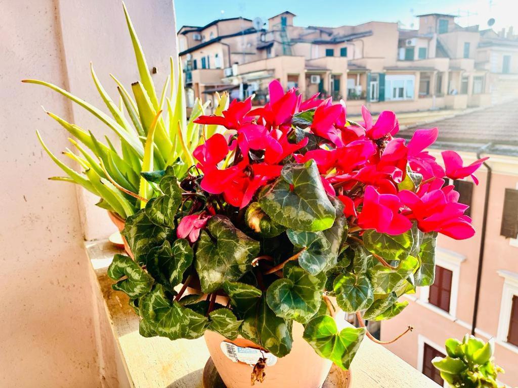Green Guesthouse روما المظهر الخارجي الصورة
